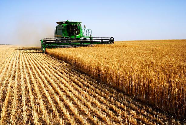 Types of Agriculture Based on Production 2 Commercial Agriculture