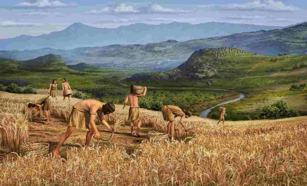 Origin of Agriculture 2 agricultural science_