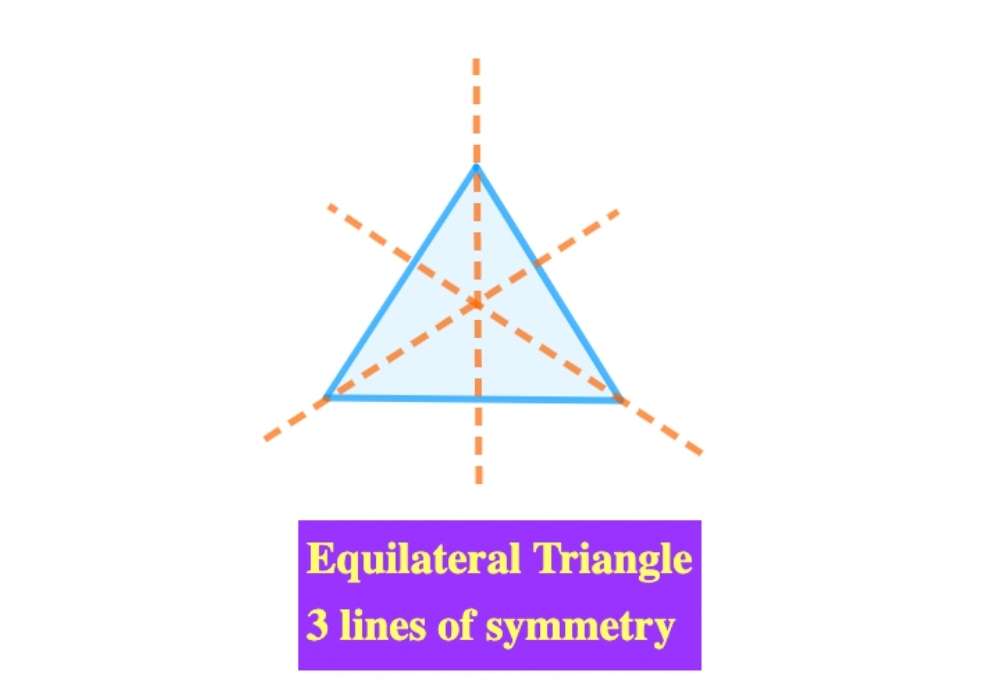 equilateral triangle - 3 lines of symmetry