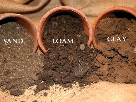 soil, clayey, loamy