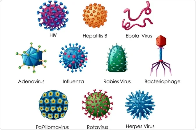 types of virus