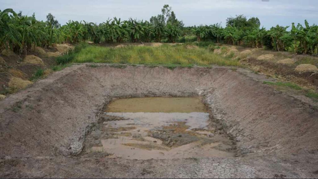 Fish Pond (Definition, Types) 2 earthen-pond