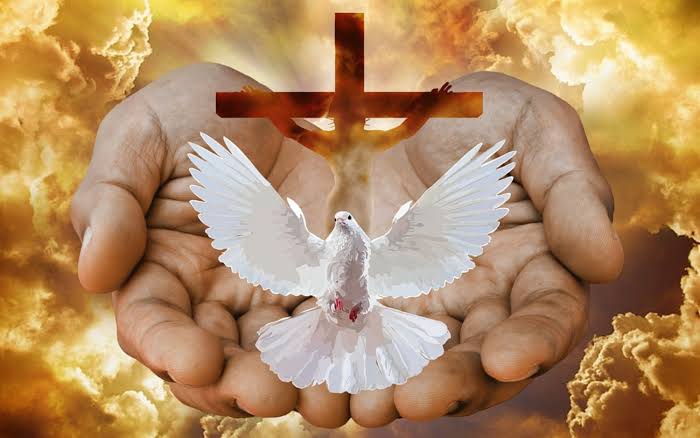 Children Of GOD 1 626553671761f bp cover image