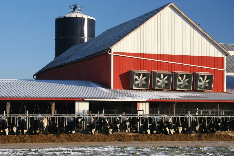 farm