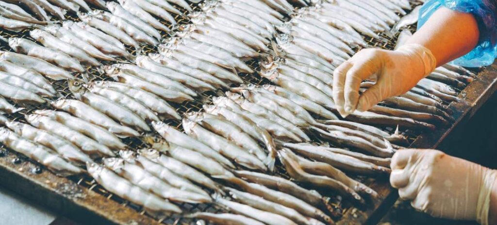 fish processing