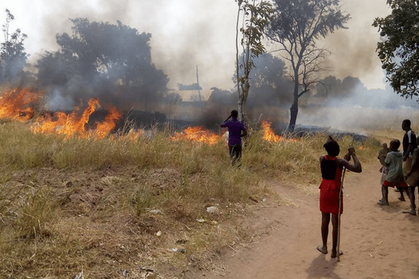 Human Activities That Influence Bush Burning | Kofa Study