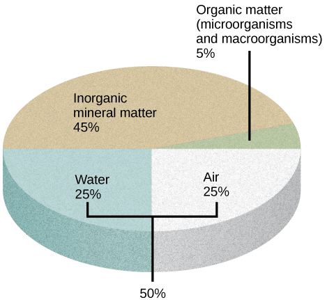 Soil Components