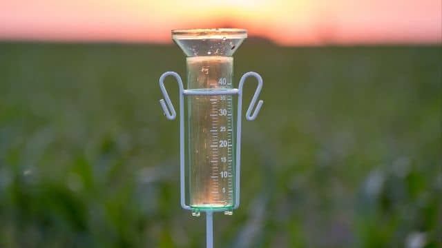 rain gauge