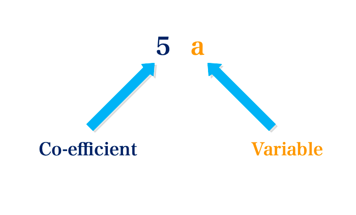 Variables & Coefficients Of Algebraic Expressions | Kofa Study