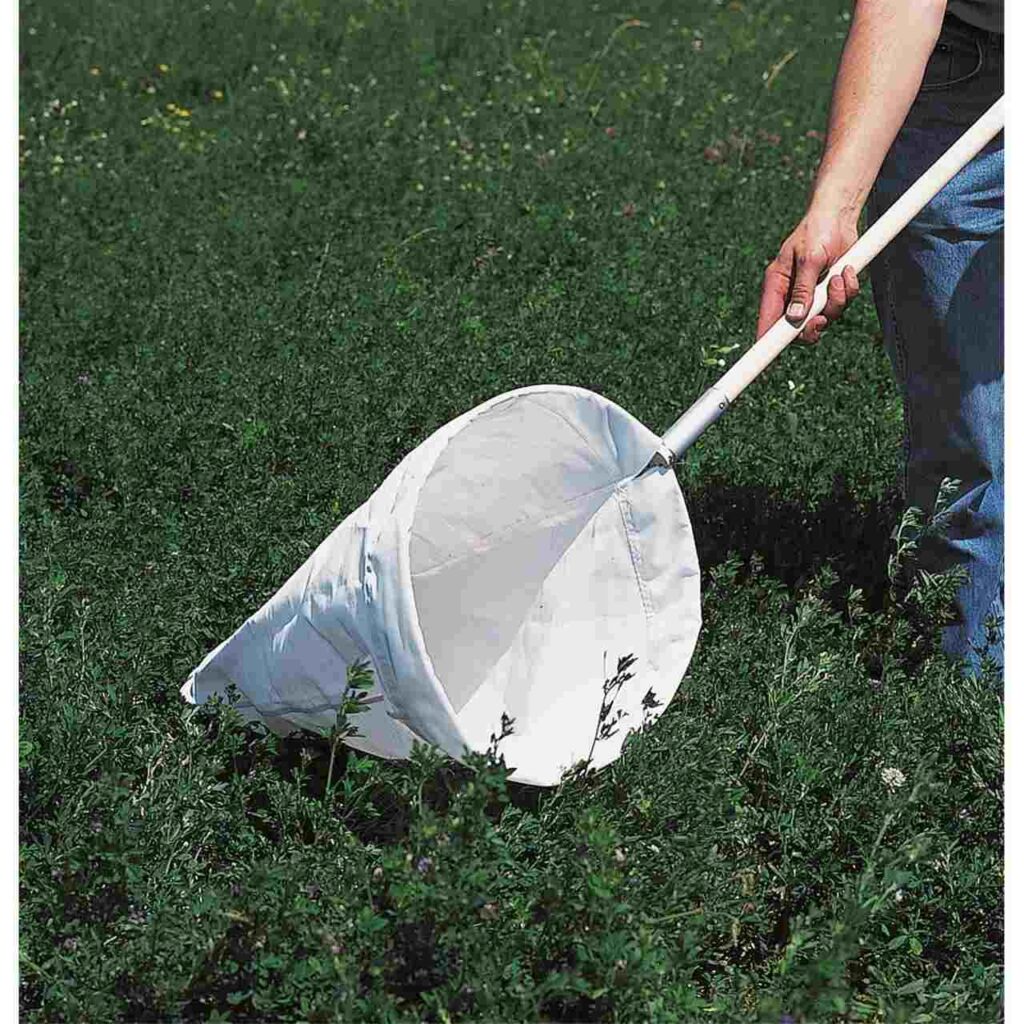 sweep net