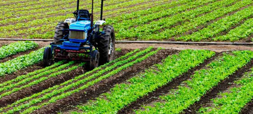 definition of agriculture