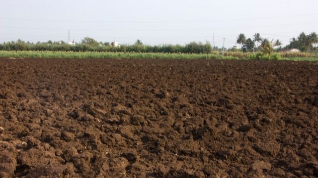 soil