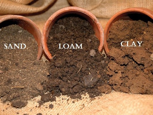 Soil Types and Their Properties 1 soil, clayey, loamy