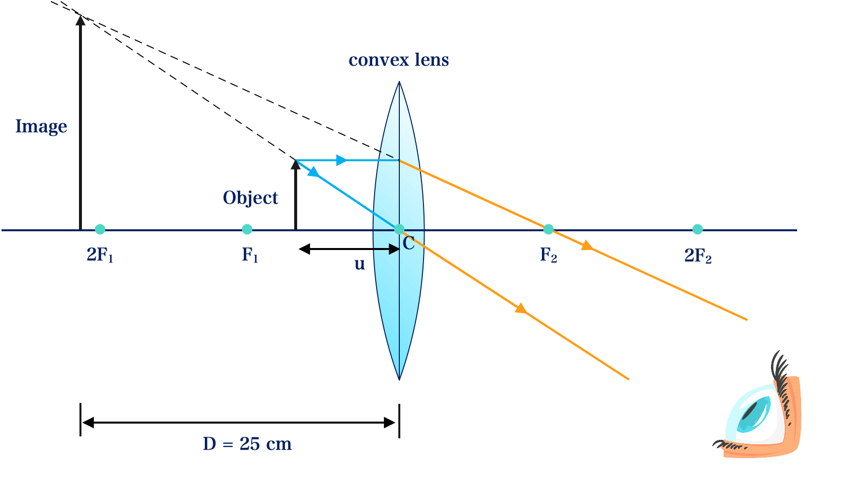 Simple Microscopic Microscopes | Kofa Study