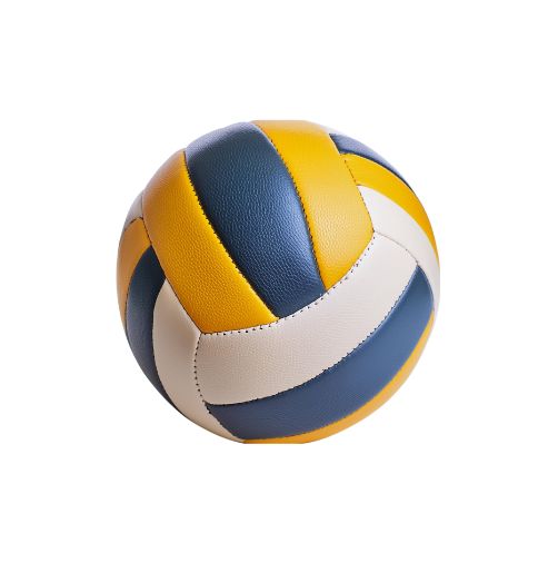 volleyball 2