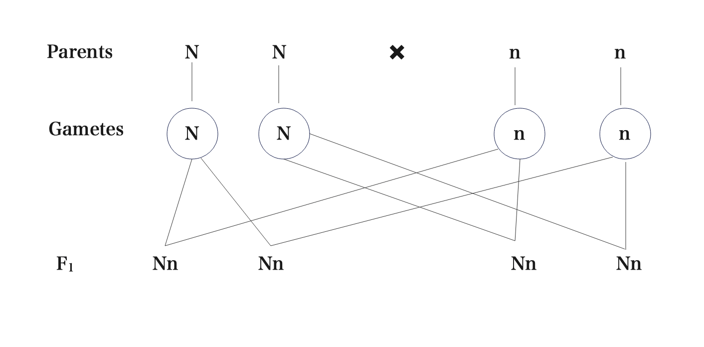 Screenshot 2025 03 05 at 05.01.30