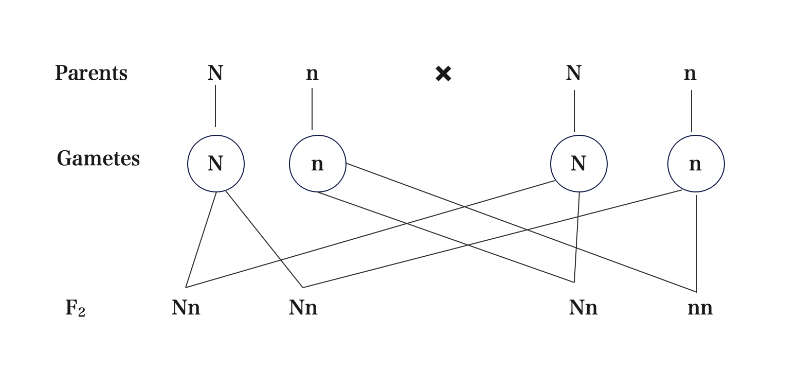 Screenshot 2025 03 05 at 05.02.57