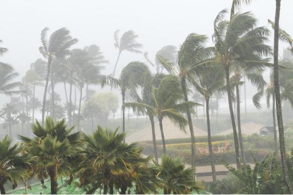 Hot Climates II 1 Tropical Monsoon