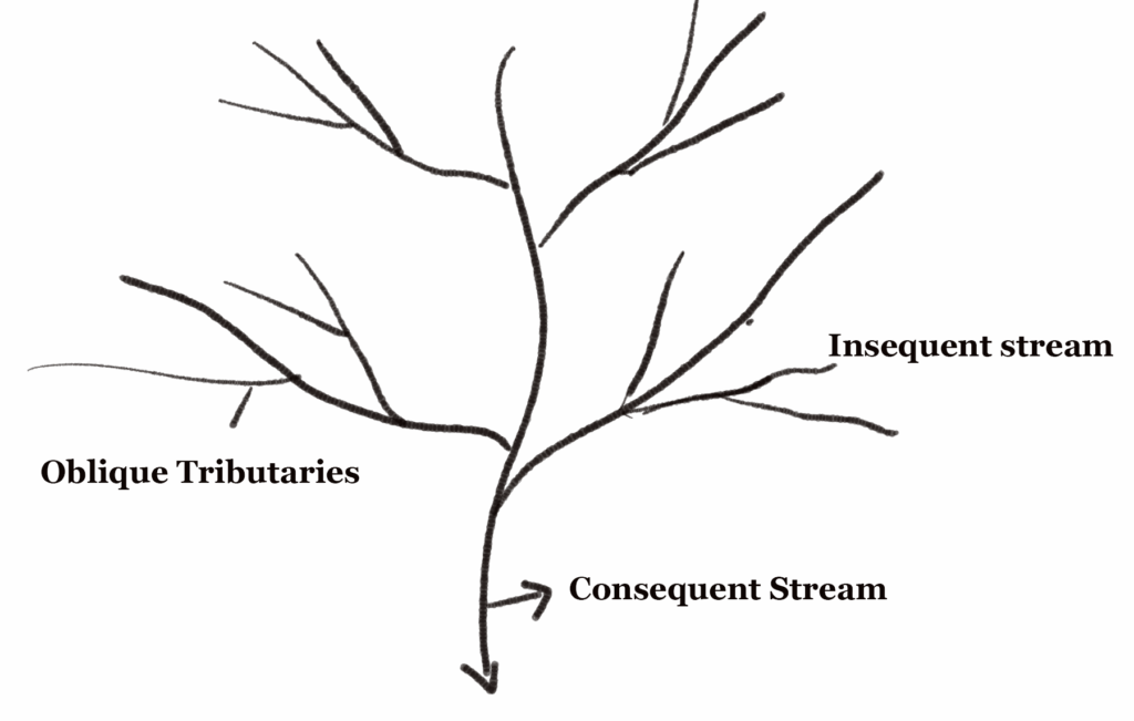 dendritic drainage p