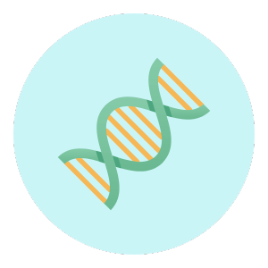 Bio icon