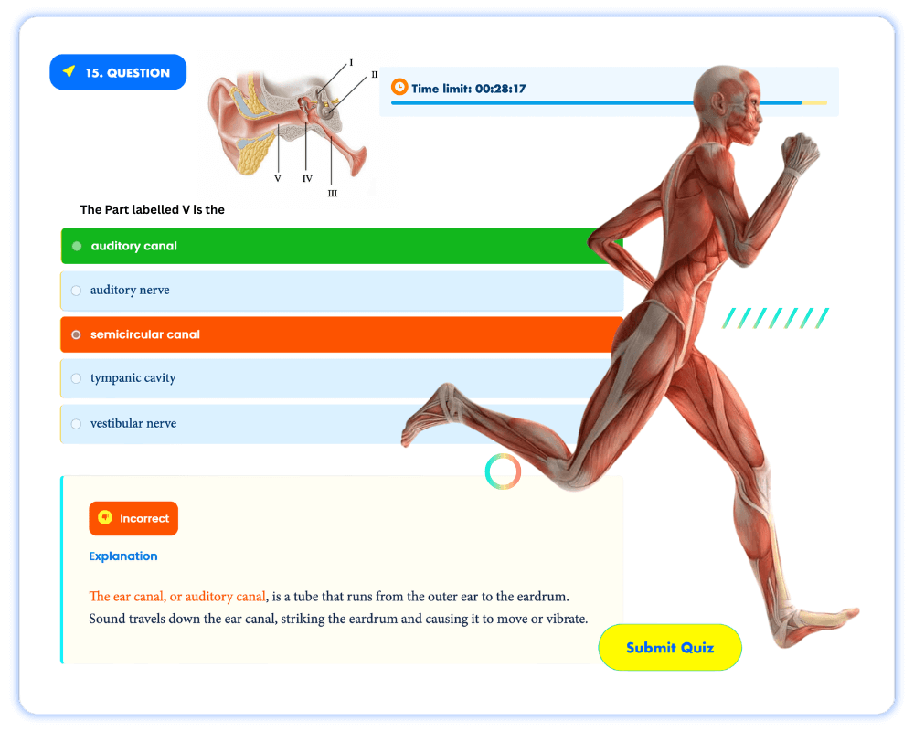 Home 29 Home page Kofa (1000 x 800 px)(1)